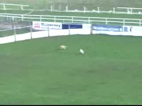 Irish Cup 06/07 Semi/Finals----Final