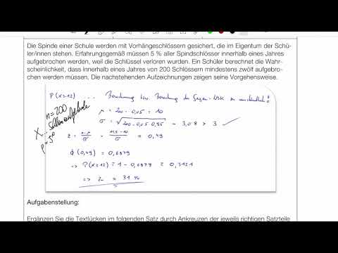 Mathelernen mit Martin BIFIE-Beispiel 1_294 Schülerarbeit