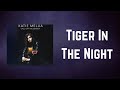 Katie Melua - Tiger In The Night (Lyrics)