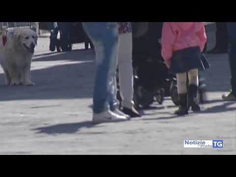 2017-07-18 PRATO - RECLUSA IN CASA, MARITO ALLONTANATO DA FAMIGLIA