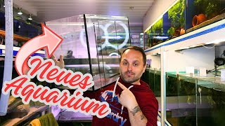 A new aquarium | Replacing an aquarium