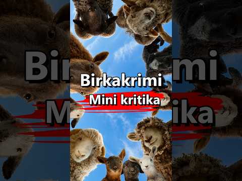 Birkakrimi Mini kritika