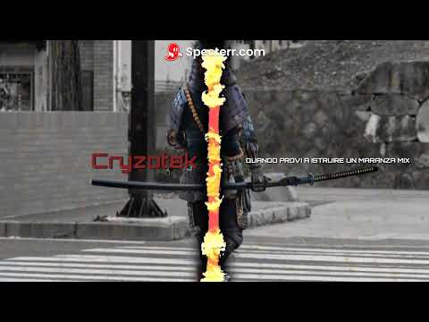 Cryzotek - QUANDO PROVI A ISTRUIRE UN MARANZA 😅 - iPantellas - MIX