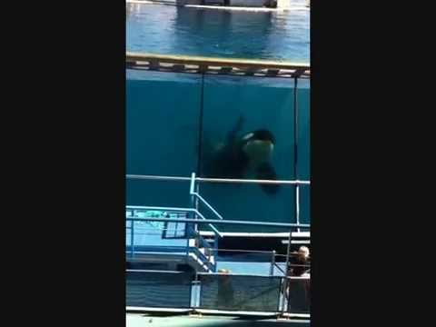 Côte d'Azur, May 2015, Greta & Federica, Travel Vlog