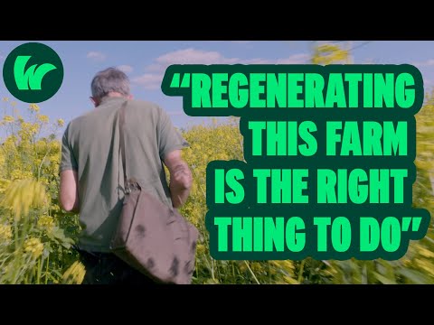 D'Oyley's Farm: Harvest 2023