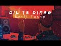 Dil te Dimag [Slowed+Reverb] Lo-fi