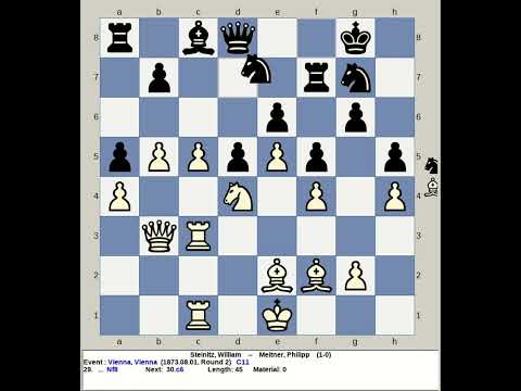Steinitz, William vs Meitner, Philipp | Vienna Chess 1873, Austria