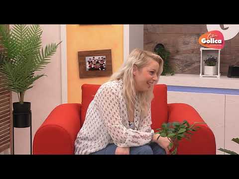 Dopoldne na Golici, ANSAMBEL HEC, december 2019