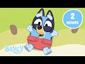 LIVE Bluey Series 1 2 3 FULL EPISODES 18 Full Bluey Episodes Bluey