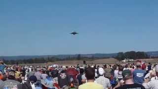 Harrier Hovering in Hillsboro