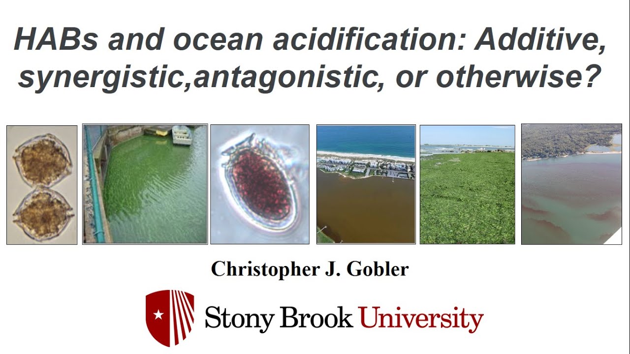 Challenges of Ocean Acidification and Harmful Algal Bloom Research