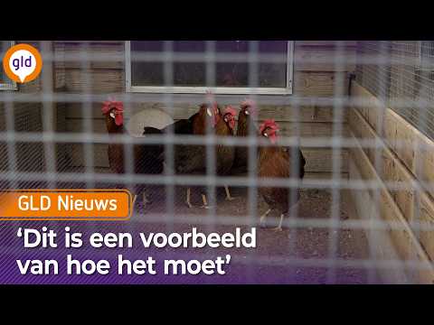 GLD Nieuws 19 december 2025
