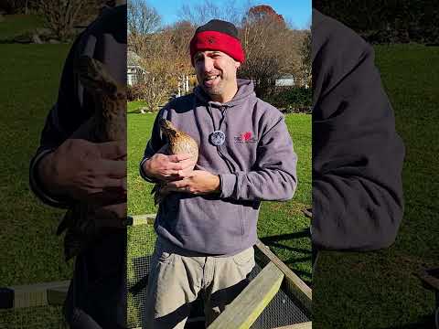 12 Saves of 2025: Pepe