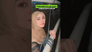 Penampakan Sapi Kurban Jumbo Milik Lesti Kejora dan Rizky Billar, Berat 1 Ton, Harga Rp 110 Juta