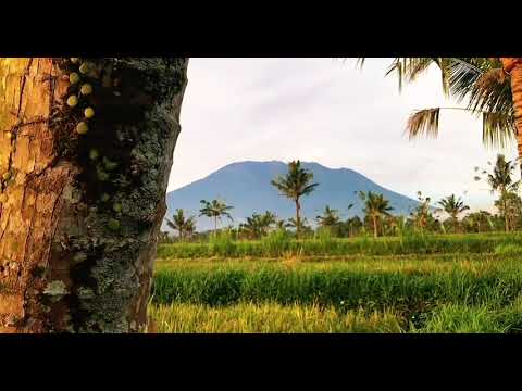 Nature vibes estetitic #cinematic