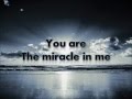 Miracle - Shinedown (Lyrics) 