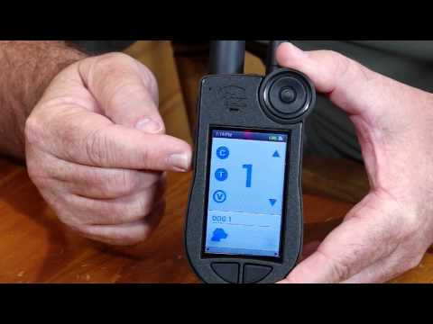 sportdog training video