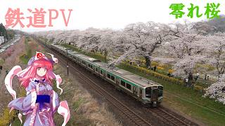 【鉄道PV】零れ桜　JR東日本の車両