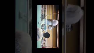 井上尚弥　左トリプルエグい！　高校時代　High School days    #naoyainoue
