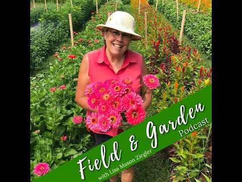 #211: Growing Snapdragons with Dave Dowling (Best of '22 Replays)