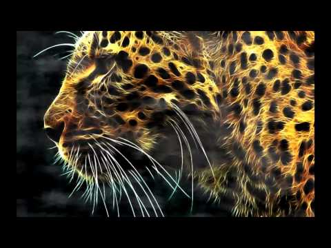 TEEYAH Feat LE MOLARE  - Zigui Zagua (Djagoire Remix)