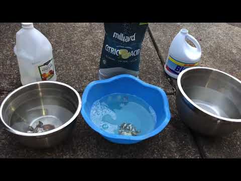 How To Clean Rocks // Bleach Water vs Vinegar Water vs...