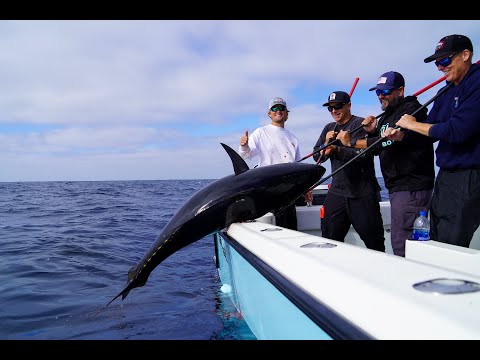 Go Big or Go Home - Southern California Big Bluefin Fishing