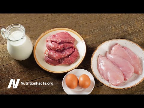 Sex Hormones in Meat and Dairy Products