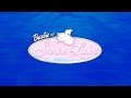 Barbie Of Swan Lake Opening