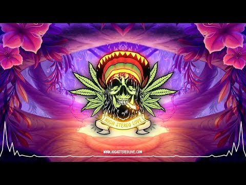 Venice Beach Dub Club - Hybrid Love (New Song 2019 / Lyrics)