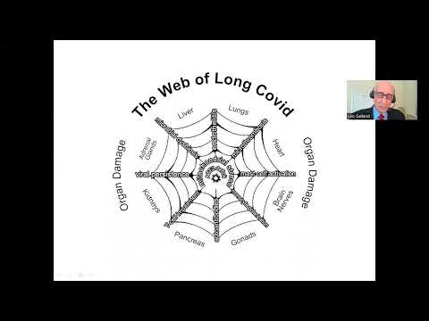Understanding Long Covid