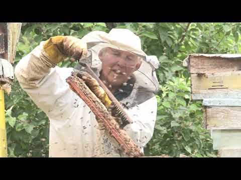 Boja meda ep. 224 21.06.2022. Subvencije, šećer, tipovi košnica, kestenov med