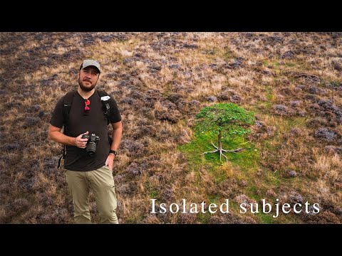 Isolating Subjects - Lone trees and heather!