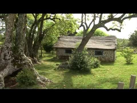 Cerro Largo - Grupo Cañas Video 1