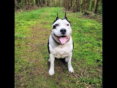 Structured Futures Live Stream