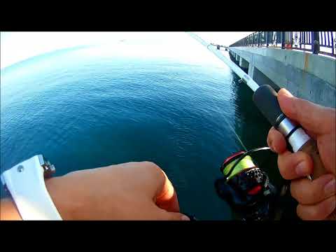 Duo Tetra Works POCO POCO ve LRF İspendek Avı