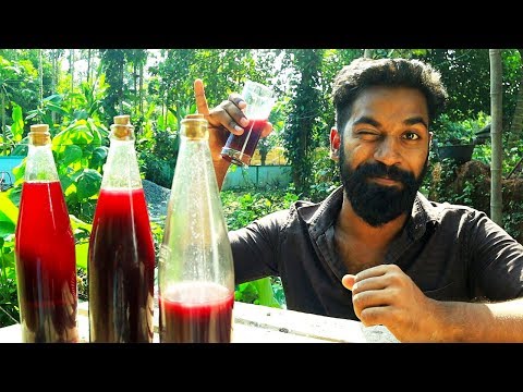 download lagu mp3 mp4 Wine Recipes In Malayalam Language, download lagu Wine Recipes In Malayalam Language gratis, unduh video klip Wine Recipes In Malayalam Language