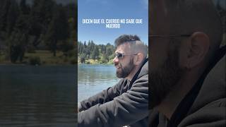 Dicen ❤️ Ya disponible!