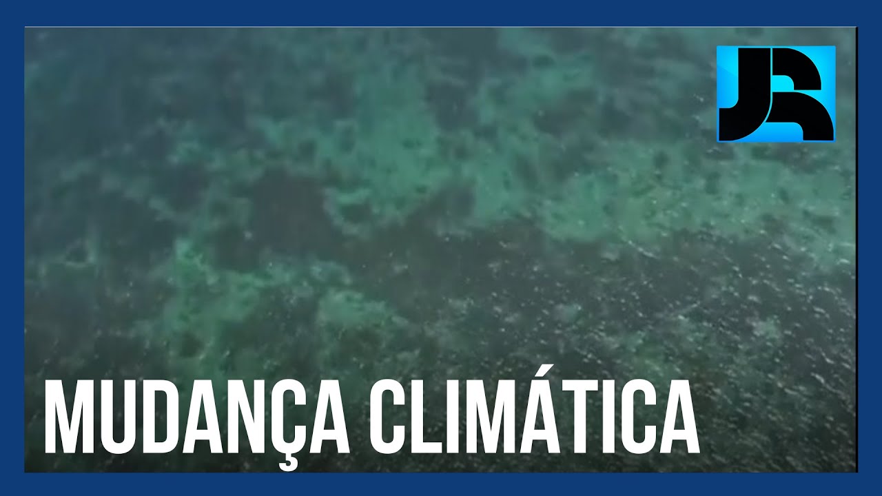 Calor no planeta atinge novo recorde em fevereiro e afeta a temperatura da água dos oceanos