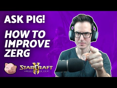 StarCraft 2 Coaching | How to improve my Zerg? | Ask PiG (11 May 22)