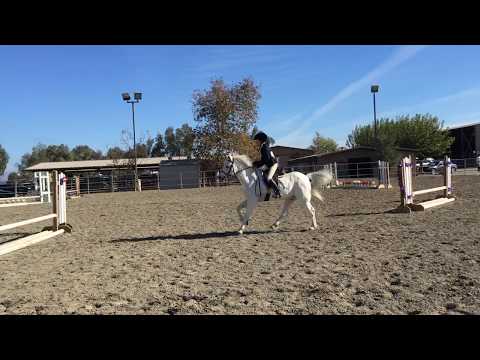 2nd Show at WSS (2' Course)