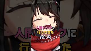 人間ドックに行ってきたましろ #にじさんじ #vtuber #ましろ
