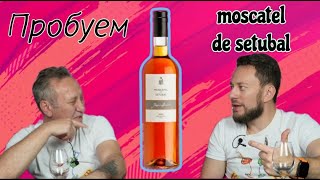 Wine Moscatel de Setubal DO. Portugal