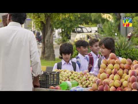 Aurat Ko Sahare Ki Zarorat Hai Magar...!! - Wehshi - HUM TV