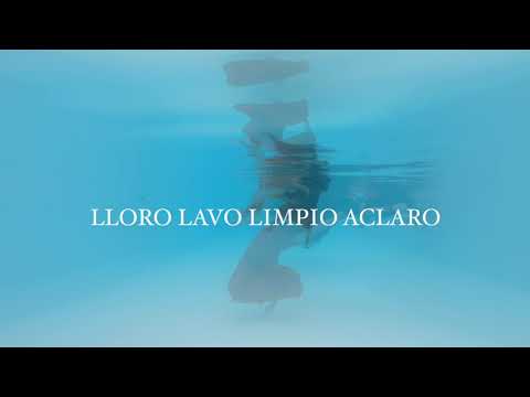 Lloro Lavo Limpio Aclaro - Mariana Cortesão