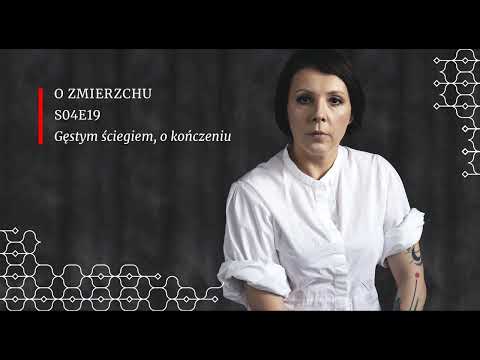 S04E19 Gęstym ściegiem, o kończeniu - O Zmierzchu