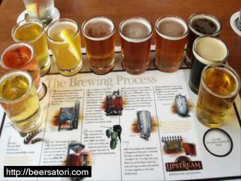 Liquid Vs Dried Yeasts - Which One Is Work Better?