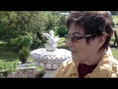 Metsolan Moowerin omistajat on onnellisia!