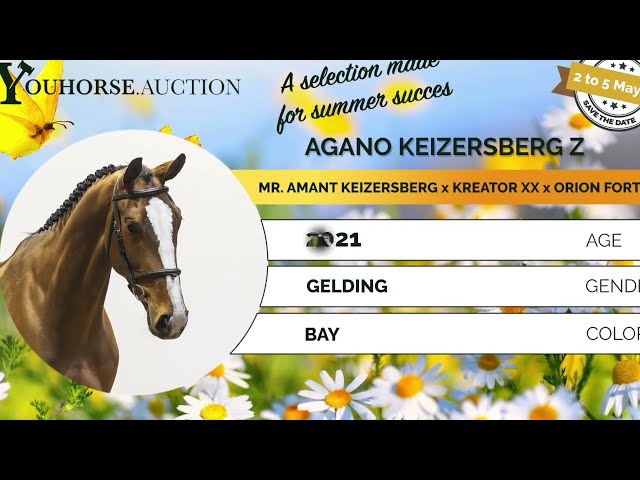 Agano Keizersberg showvideo
