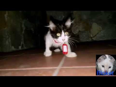 Are you afraid of the flash?